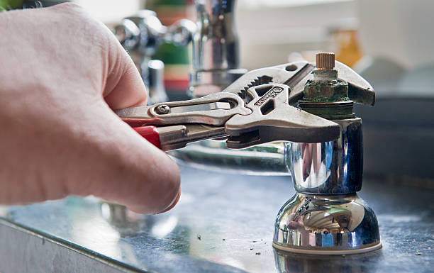Best Water damage contractors near me  in Waynesboro, TN