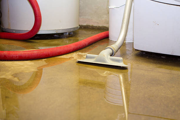 Best 24-hour water damage restoration  in Waynesboro, TN