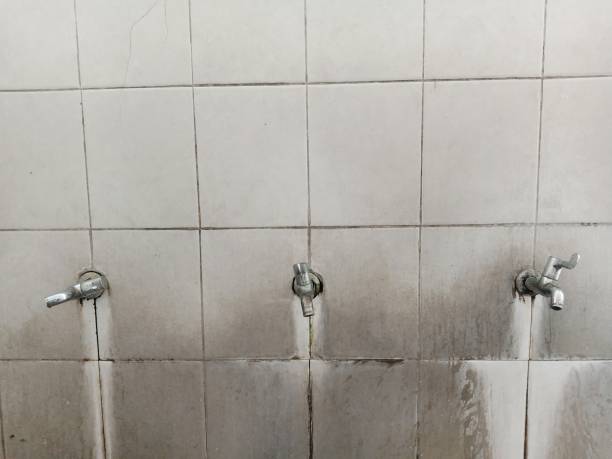 Best Commercial water damage restoration  in Waynesboro, TN