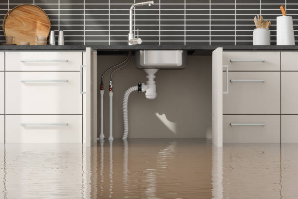 Best Emergency water damage restoration  in Waynesboro, TN