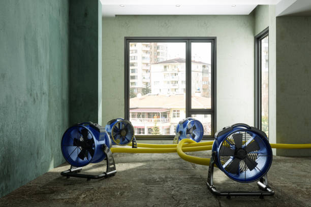 Best Water damage restoration near me  in Waynesboro, TN